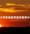 小学家庭教育指导案例分享