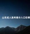 山东成人高考查分入口在哪