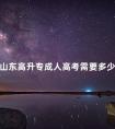 山东高升专成人高考需要多少分