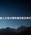 成人大专计算机理论知识考什么