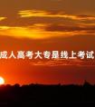 成人高考大专是线上考试吗