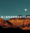 成人高考成绩查询是什么时候