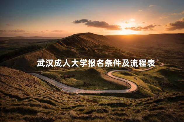 武汉成人大学报名条件及流程表