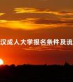 武汉成人大学报名条件及流程表
