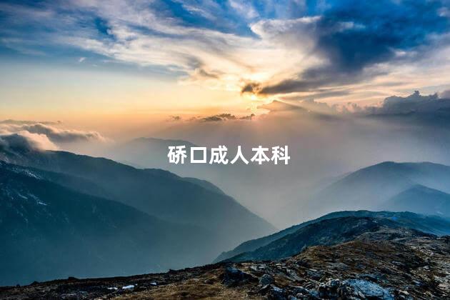 硚口成人本科