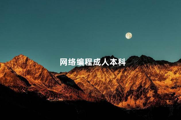 网络编程成人本科