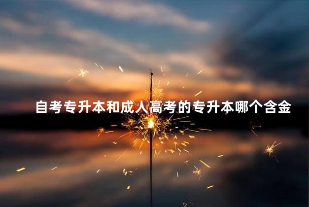自考专升本和成人高考的专升本哪个含金量高