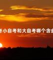 自考小自考和大自考哪个含金量高