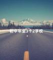 初中毕业3十2学校