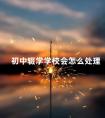 初中辍学学校会怎么处理