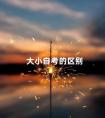 大小自考的区别
