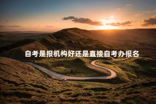 自考是报机构好还是直接自考办报名