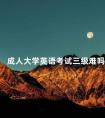 成人大学英语考试三级难吗