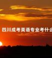 四川成考英语专业考什么