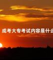 成考大专考试内容是什么