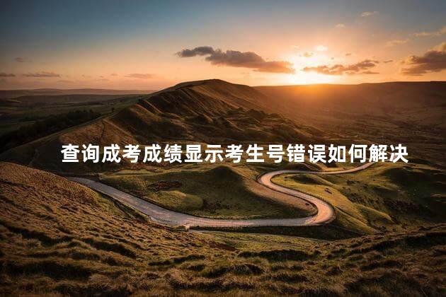 查询成考成绩显示考生号错误如何解决