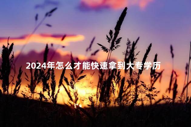 2024年怎么才能快速拿到大专学历