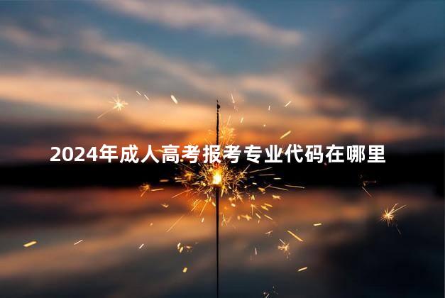 2024年成人高考报考专业代码在哪里查询