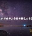 2024年成考大专都考什么内容的