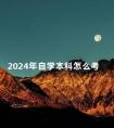 2024年自学本科怎么考