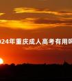 2024年重庆成人高考有用吗