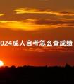 2024成人自考怎么查成绩