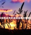 2024陕西成考的录取结果在哪里查询