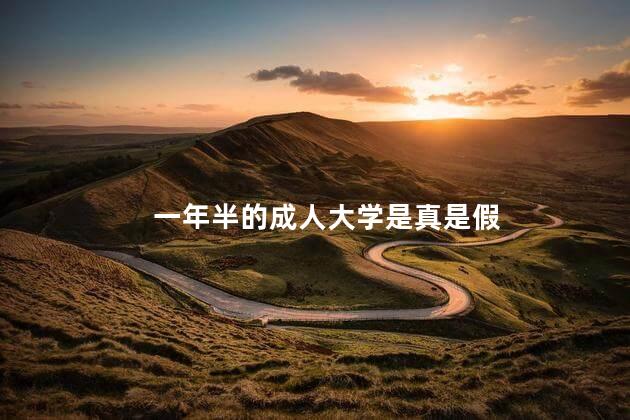 一年半的成人大学是真是假