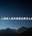 上海成人高考录取结果怎么查