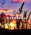 专升本英语考什么