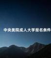 中央美院成人大学报名条件