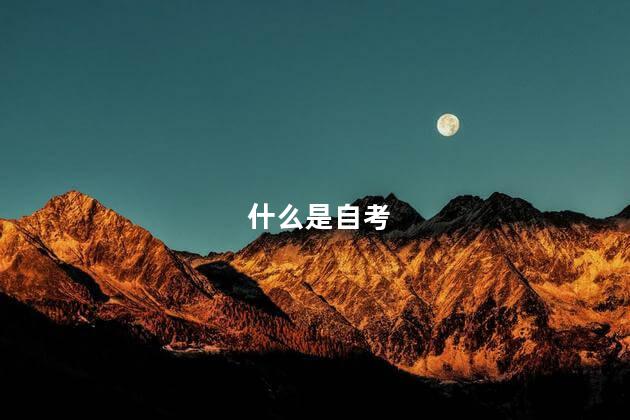 什么是自考