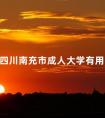 四川南充市成人大学有用吗