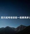 四川成考培训班一般费用多少
