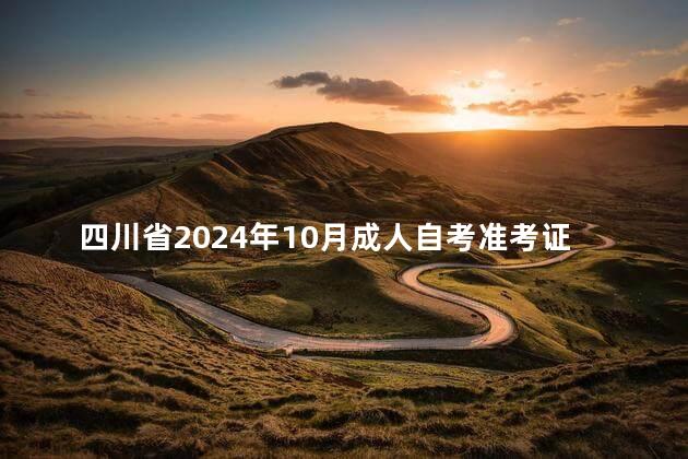 四川省2024年10月成人自考准考证打印通知