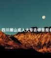 四川眉山成人大专去哪里报名