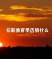 在职教育学历填什么