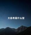大自考是什么型