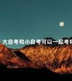 大自考和小自考可以一起考吗
