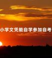 小学文凭能自学参加自考吗