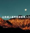 山东成人高考成绩查询入口