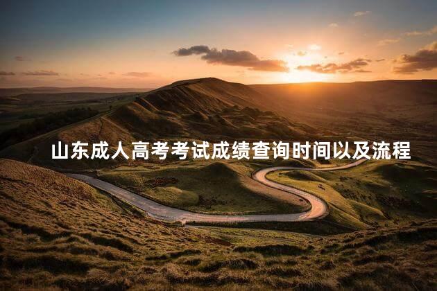 山东成人高考考试成绩查询时间以及流程