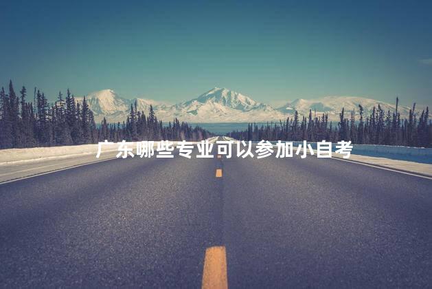 广东哪些专业可以参加小自考