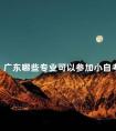 广东哪些专业可以参加小自考