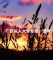 广西成人大专专业一览表