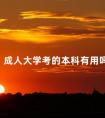 成人大学考的本科有用吗
