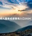 成人高考成绩查询入口2024