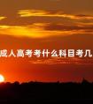 成人高考考什么科目考几天
