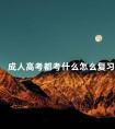成人高考都考什么怎么复习