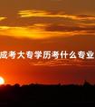 成考大专学历考什么专业好
